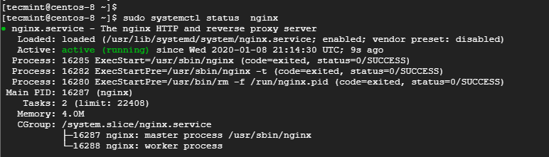 Verify Nginx Status