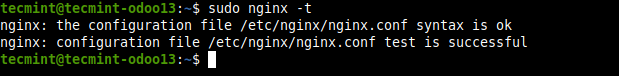 Verifique la configuración de Nginx en busca de errores
