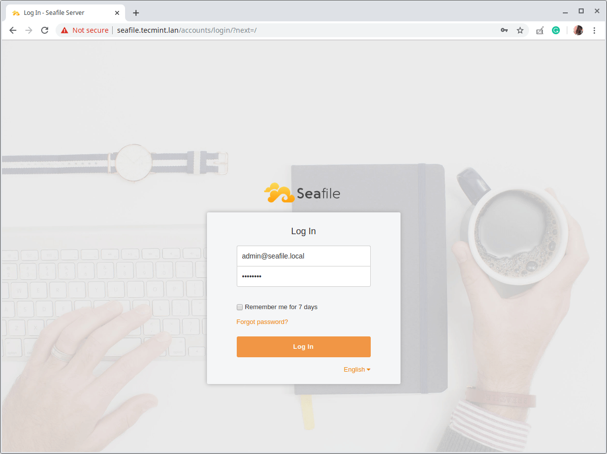 Seafile Login Interface