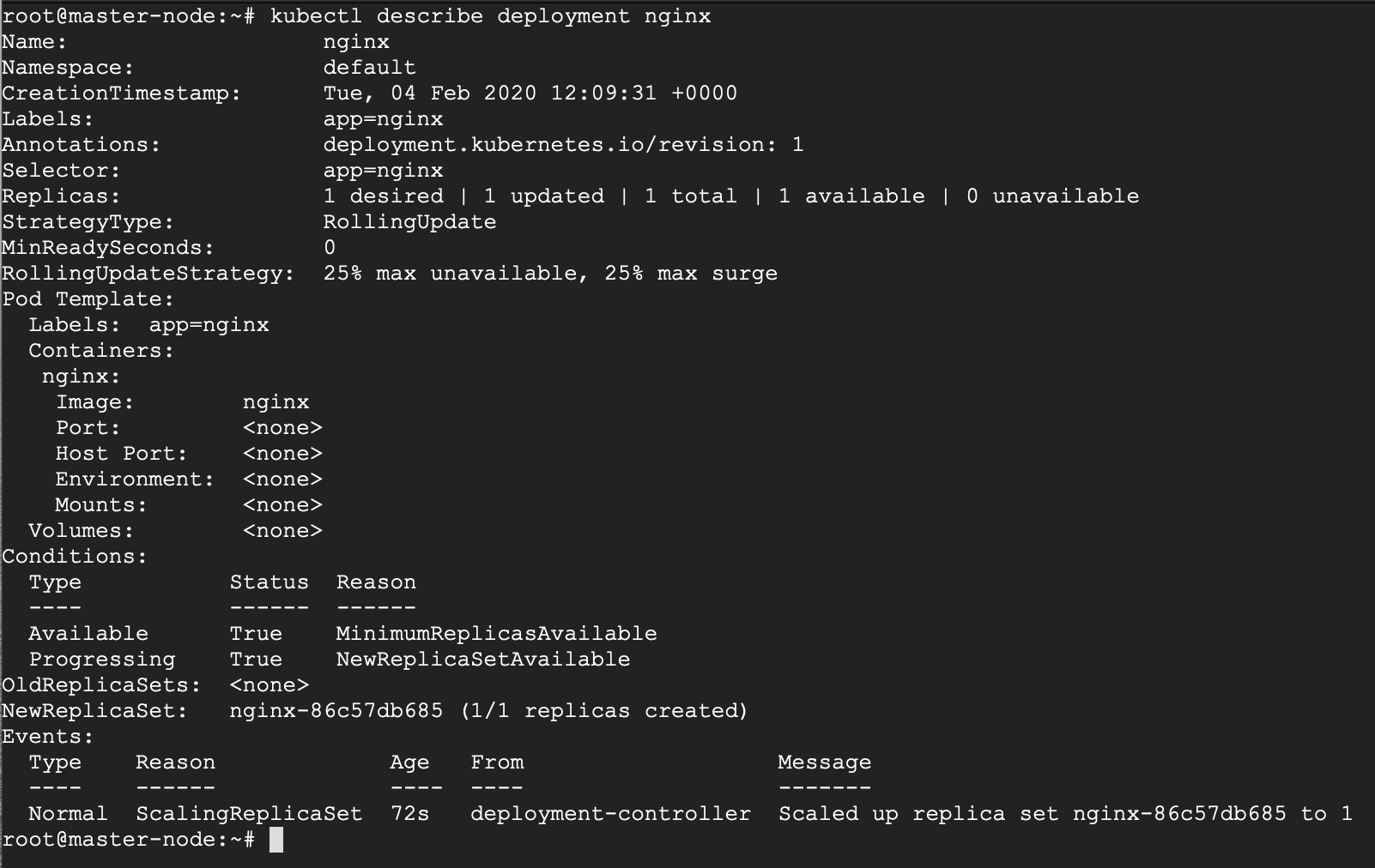 Überprüfen Sie die Nginx-Bereitstellungsdetails