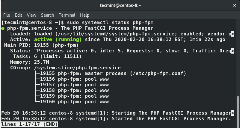 Check PHP-FPM Status