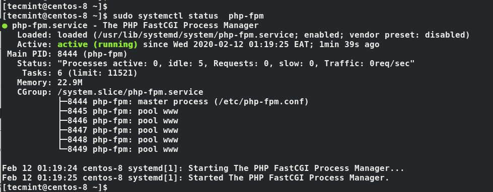 Check PHP-FPM Status