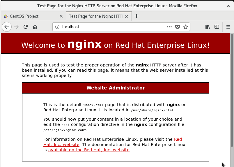  Ver página web de Nginx 