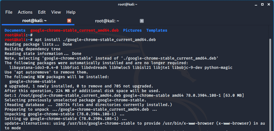 Install Google Chrome in Kali Linux