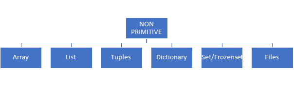 Primitive and Non-Primitive Data Type