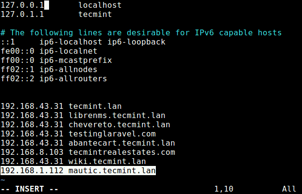 Setup Local DNS in Linux