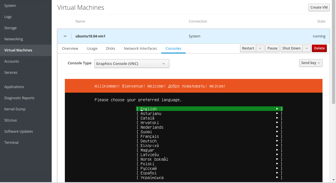 Install Guest OS on KVM