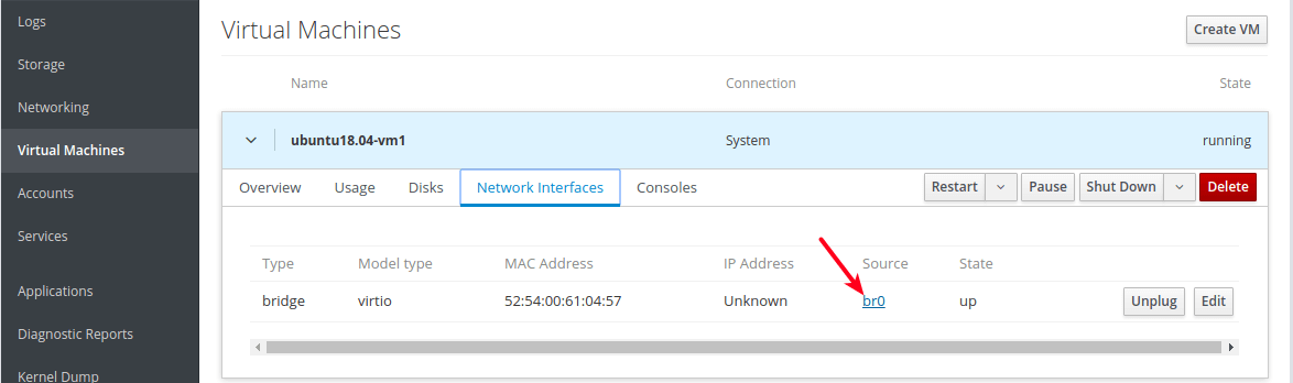 Network Bridge of VM