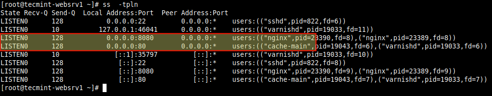 Confirm Nginx and Varnish Ports