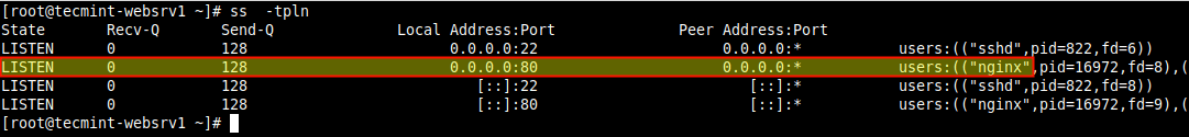 Check Nginx TCP Port