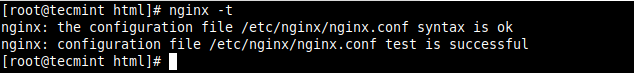  Verifique la configuración de Nginx 