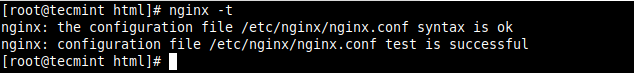 Check Nginx Configuration