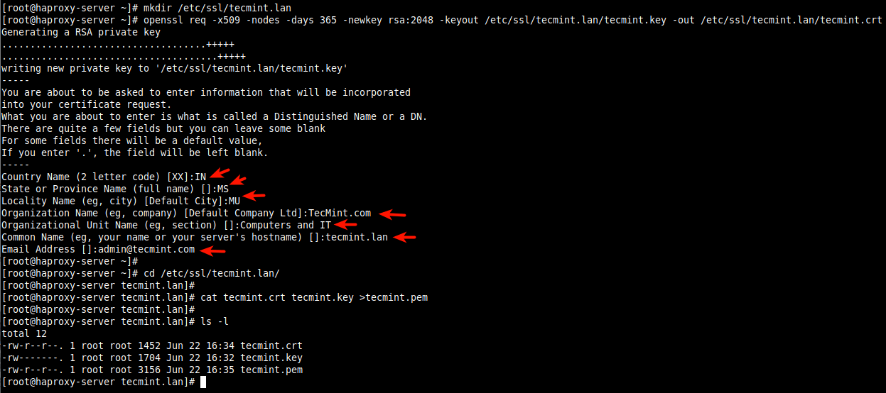 Create SSL for HAProxy