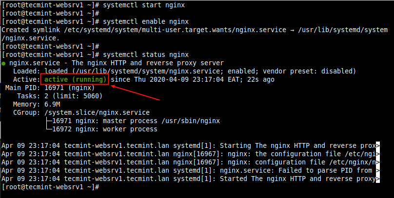 Verify Nginx Service Status