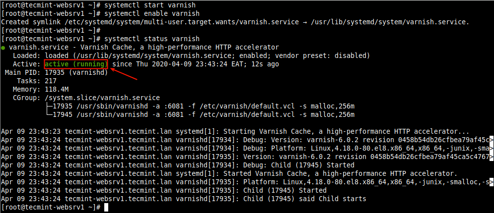 Verify Varnish Cache on CentOS 8