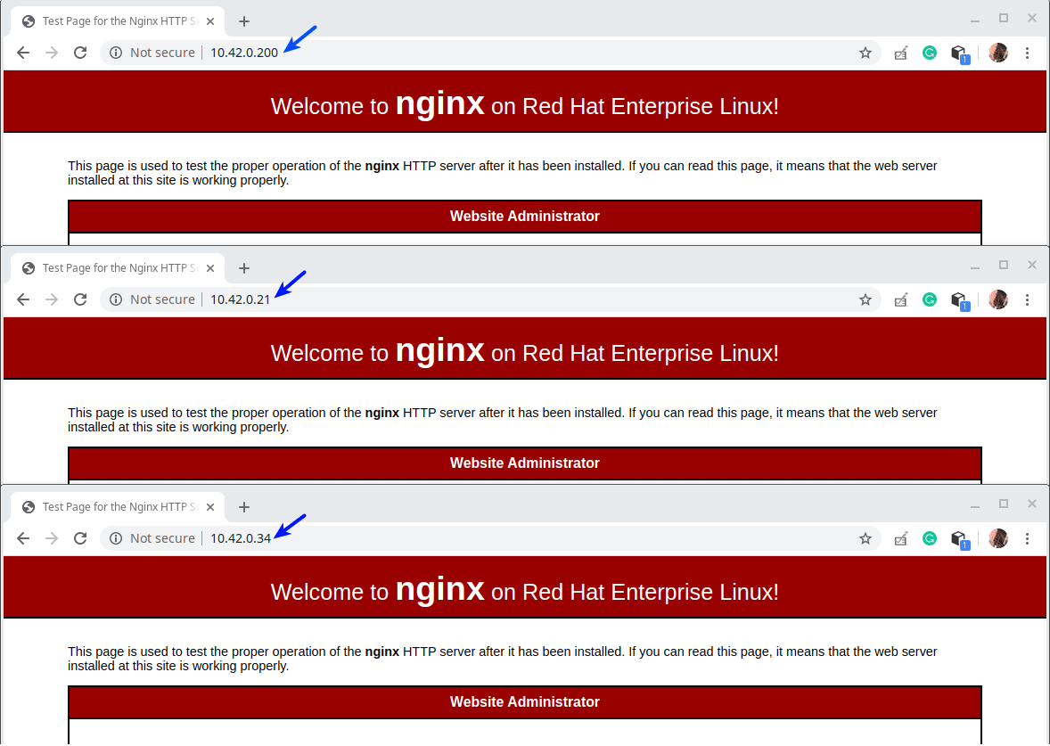 Test Nginx Installation on All CentOS 8 Client Machines