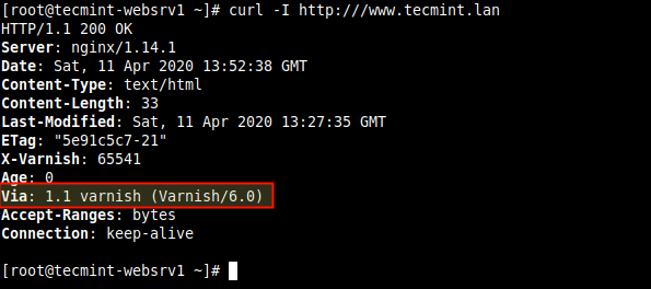 Verify Nginx Varnish Cache Page Using Curl