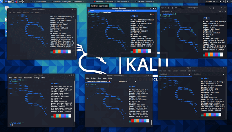 Kali Linux Terminals