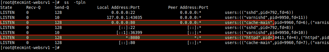 Check Varnish and Apache Listening Sockets