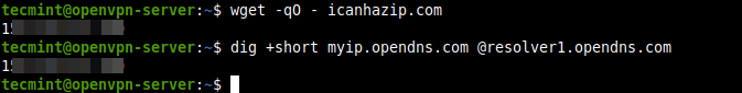  Verificar la dirección IP del servidor Ubuntu 