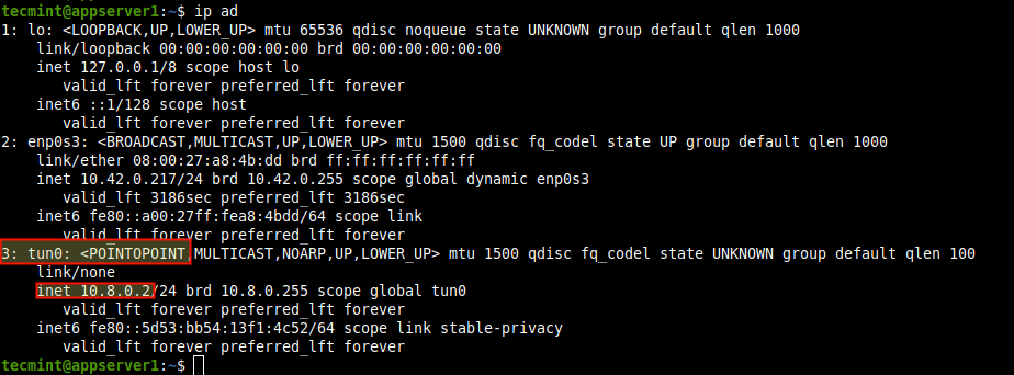 Check VPN Tunnel Interface