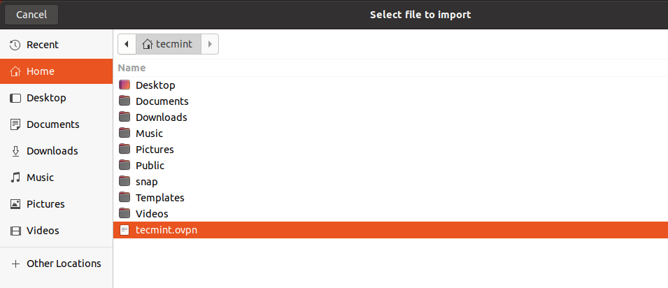 Seleccionar archivo OpenVPN para importar 