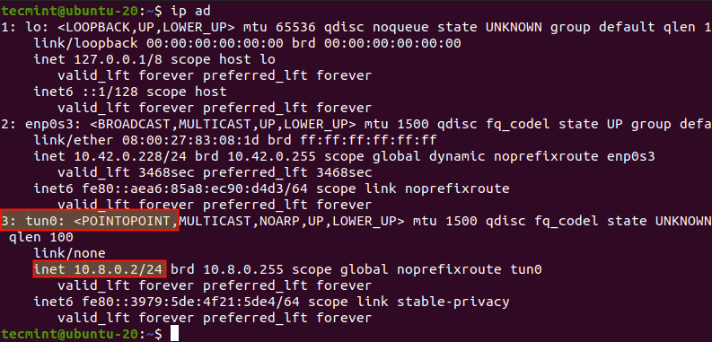 Check VPN Tunnel Interface