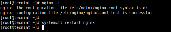  Verificar e iniciar el servicio Nginx 