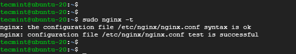 Check Nginx Configuration File