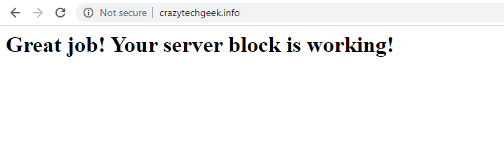 Check Nginx Server Block