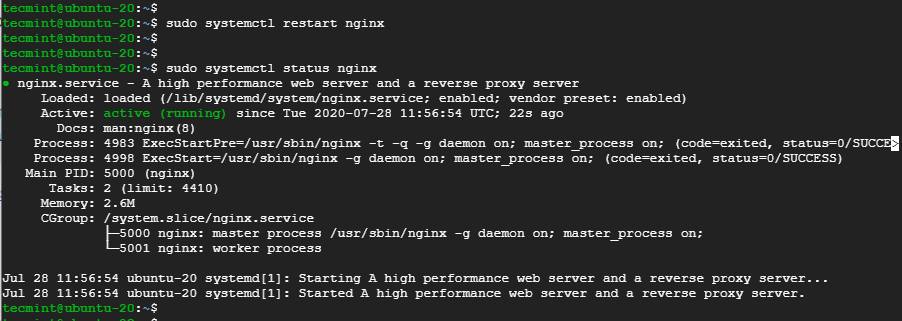 Check Nginx Service Status