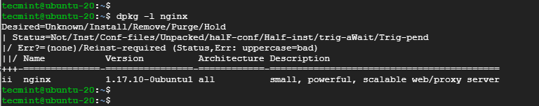Check Nginx Version in Ubuntu 20.04