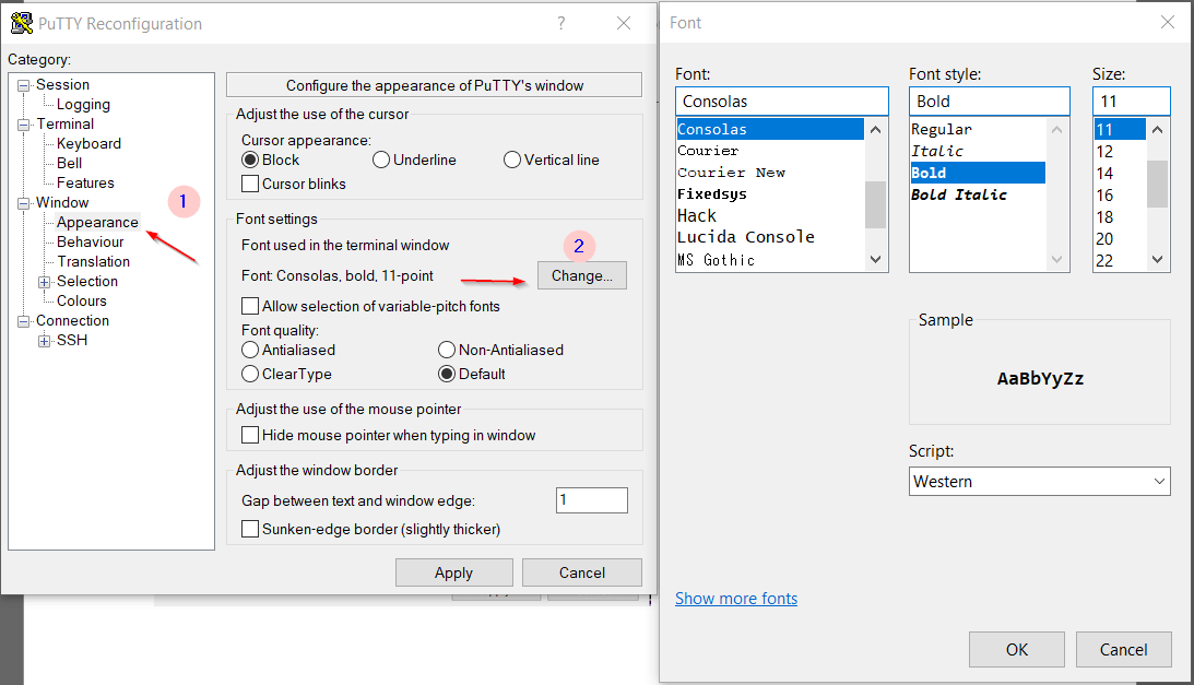 Change Putty Fonts