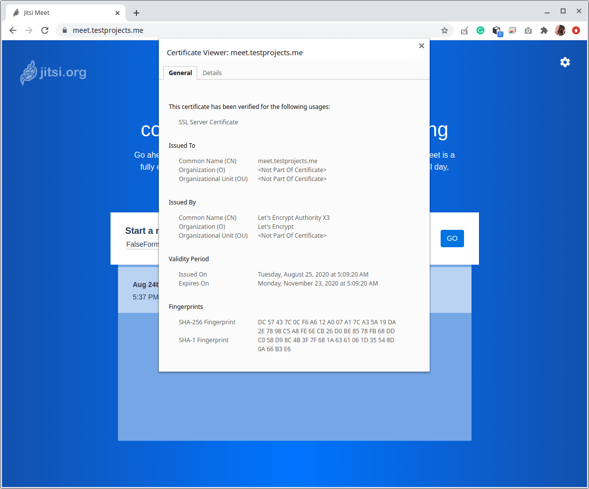 Verify HTTPS on Jitsi Meet