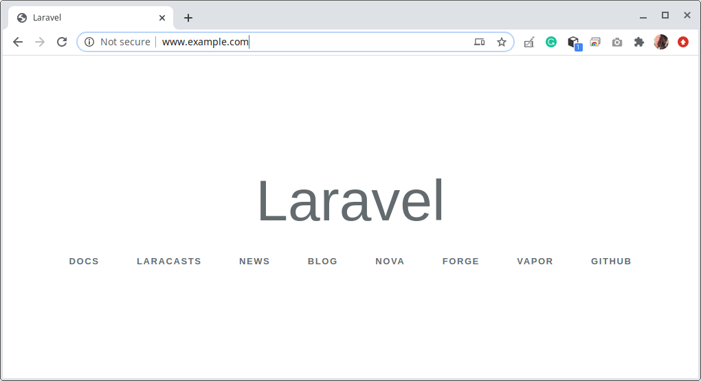 Laravel Web Page