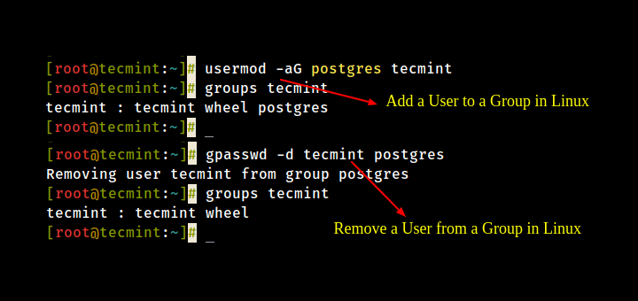 How to Add or Remove a User from a Group in Linux