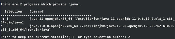 Switch Java Version in CentOS
