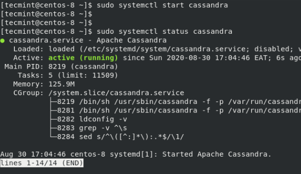 Verify Apache Cassandra Status