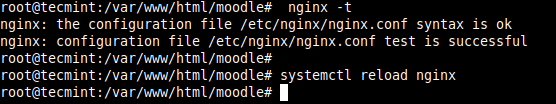  Verificar la configuración de Nginx 