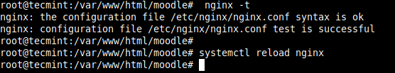 Check Nginx Configuration