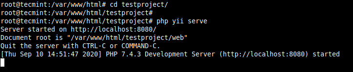  Ejecutar el servidor de desarrollo de Yii 