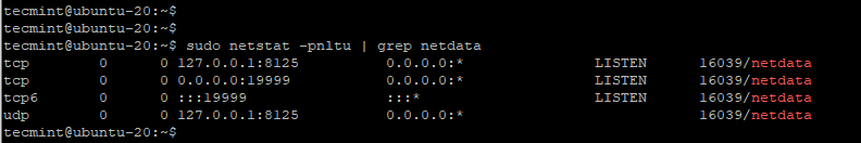  Comprobar puerto Netdata 