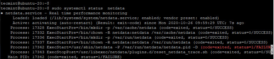 Check Netdata Status