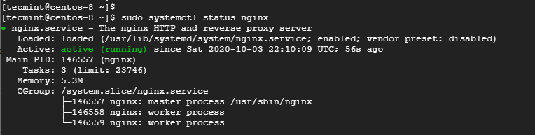 Check Nginx Status