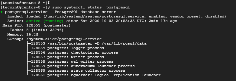 Check PostgreSQL Status