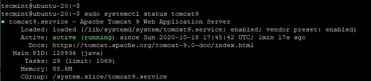 Check Tomcat Status