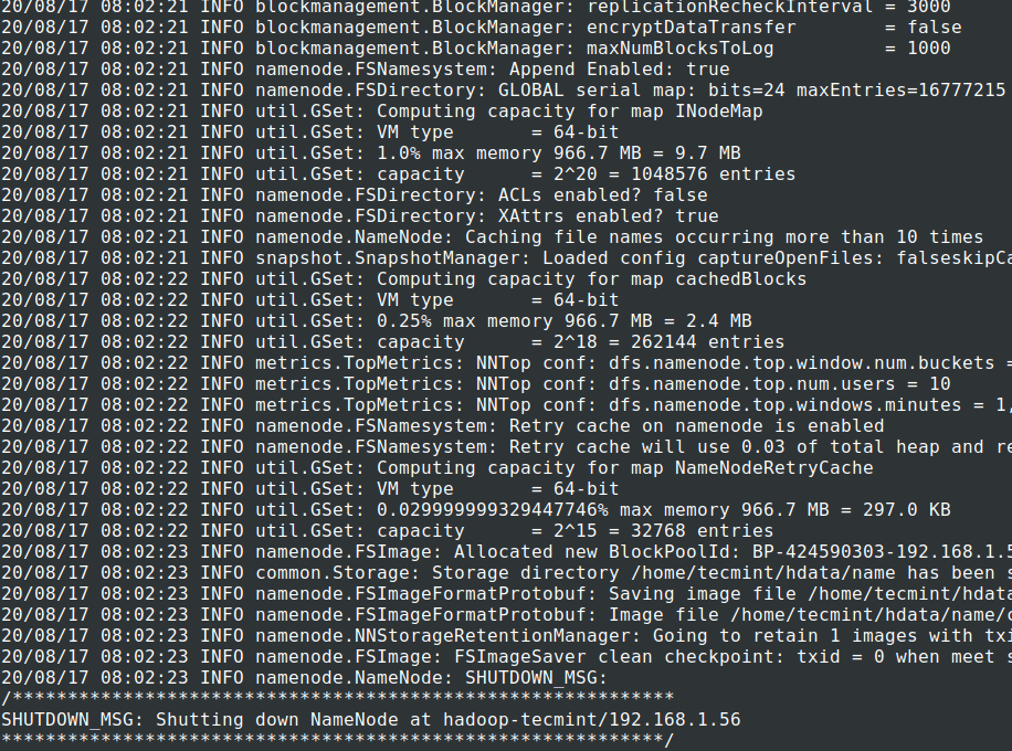 Format HDFS Filesystem