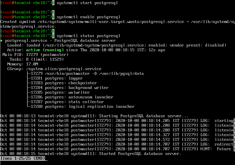 Verify PostgreSQL Status