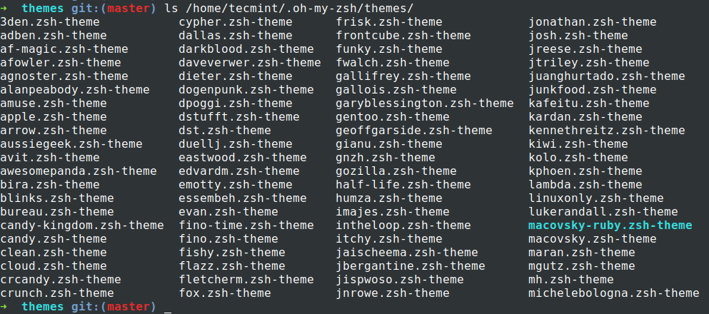 oh-my-zsh themes