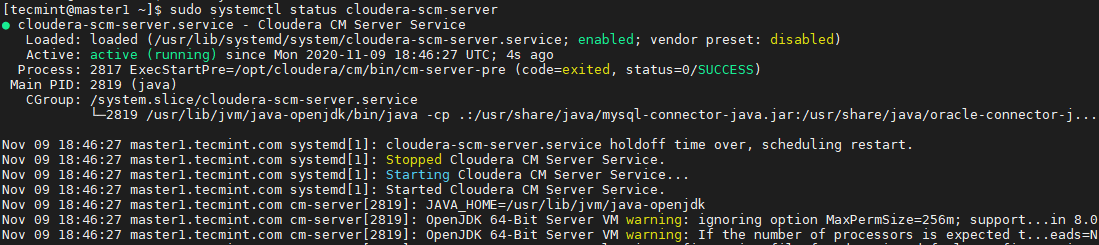 Check Cloudera Manager Status